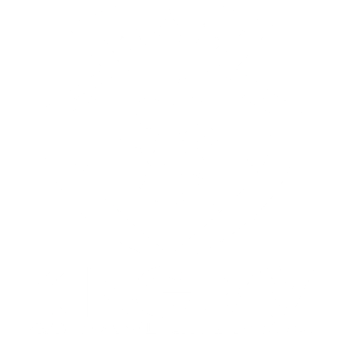 Kingpav - Asfalto de Alta Performance - Maring PR